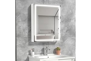 HAUSCHEN HOME 24x16 Inch LED Medicine Cabinet Lighted Bathroom Mirror, Defogger, Stepless Dimmable, 3000K/5500K Color Temperature Wall Mounted Makeup Mirror, Adjustable Shelf (Assembly Required)