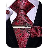 ROBERTO GABBANI Mens Tie Pocket Square Cufflinks Tie Bar Set, Silk Woven Necktie with Hanky Clip
