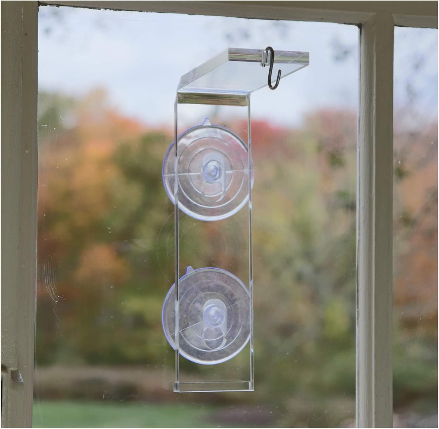 Amazon Com Veg Dangler Suction Cup Window Hanger Bird Feeder