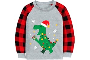 CM-KID Christmas Shirt for Toddler Boys Santa Dino Reindeer Buffalo Red Plaid Long Sleeve Tshirt Tops for Kids 2-7 Years