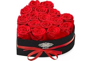 Agrul Roses Gifts for Her,Forever Preserved Flowers Roses in a Heart Shape Box,Anniversary Birthday Gifts for Wife Women Mom Best Friend Girlfriend/16Pcs Red Roses