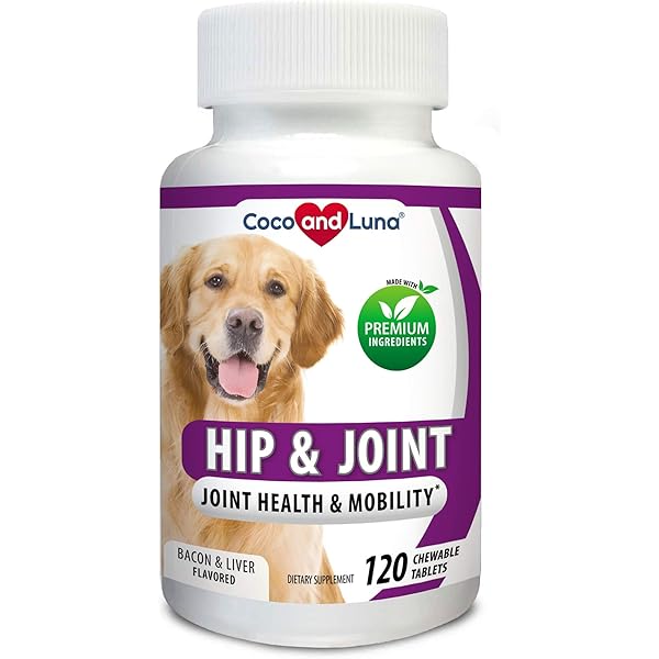 pain meds ok for dogs