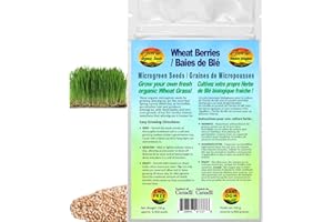 Wheat Berries Microgreen/Wheat Grass Seeds | Baies de Blé Graines de Micropousses | Organic & Non-GMO | Net Wt. 250 Grams (Ap