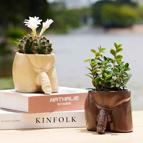 Funny Succulent Pots Body Penis Planter, Unique Plant Pots with Drainage  Holes, Cool Vases Gag Gifts for Friends Succulents Cacti Vanilla Home  Garden Office Decor Outdoor & Indoor (Brown) in Saudi Arabia |
