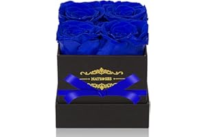 NATROSES Blue Preserved Roses in a Box That Last Up to 3 Years, Long Lasting Roses Gifts for Her,Valentines Day Gifts, Mothers Day Gifts (Blue)
