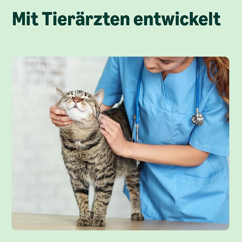 Getreidefreies Rezept für Katzen, Trockenfutter (sterilisiert/leicht) mit frischem Huhn, 3 kg