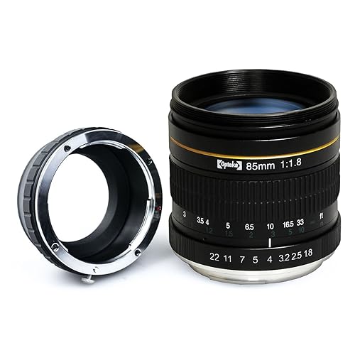 Tamron Micro Four Thirds Lenses: Amazon.com