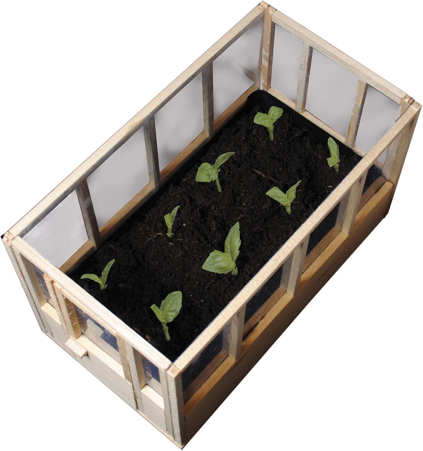 Oliphant Miniature Indoor Greenhouse – BigaMart