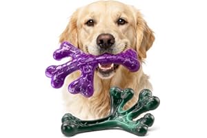 Frienhund Aggressive Chewers Dog Chew Toys - 2 Pack Tough Dog Toys for Aggressive Chewers Large Breed, Indestructible Dogs Toy for Gift, Interactive to Keep Them Busy