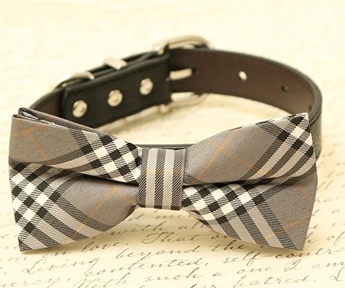 burberry dog bow tie