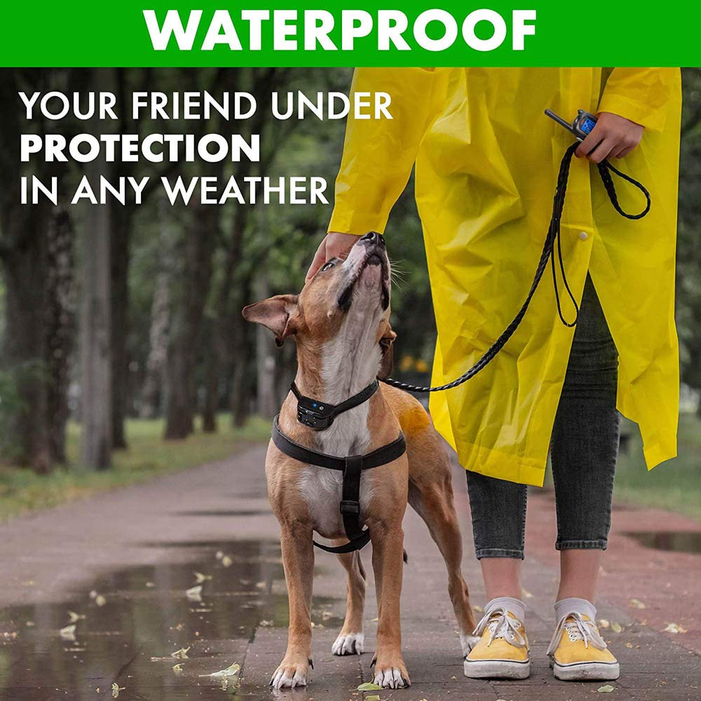 Colliers de dressage pour chiens Electrique Beep Vibra Choc collier dressage chien étanche et Rechargeable Collier télécommande 800 Verges Collier Electrique pour Chien pour la formation de chien