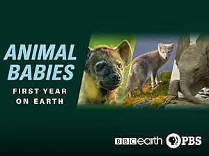 Watch Animal Babies First Year On Earth Season 1 Prime Video