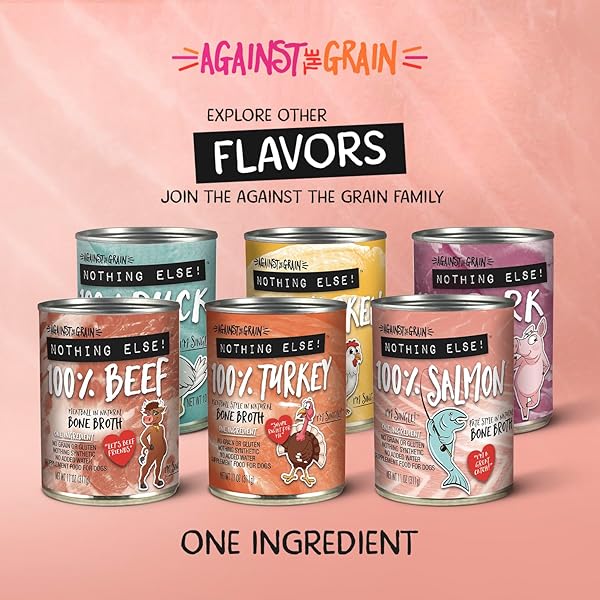 EVANGER’S AGAINST THE GRAIN NOTHING ELSE! 100% SALMON DOG FOOD – 12 COUNT, 11 OZ EACH – SINGLE-INGREDIENT MEATBALL TEXTURE IN NATURAL BROTH – WET DOG FOOD – GRAIN & GLUTEN FREE