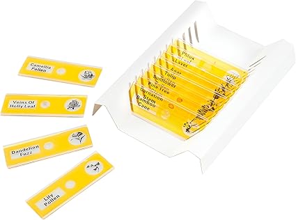 educational insights microscope