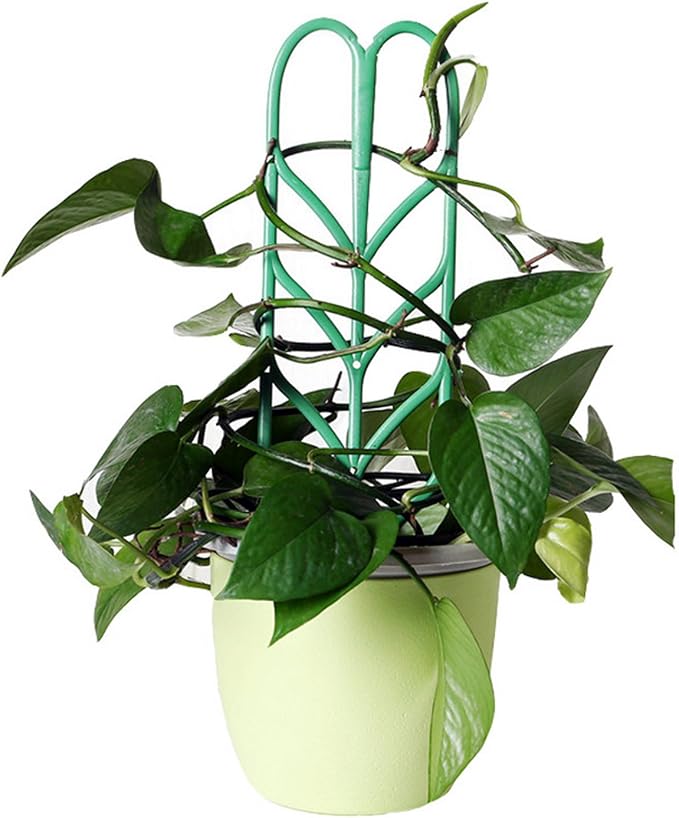 3pcs Mini Bricolaje Hoja Forma JardíN Enrejado Plantas Macetas ...