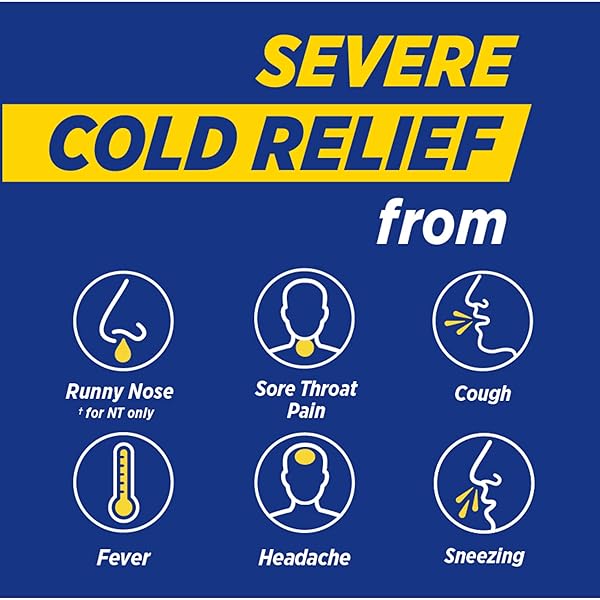 THERAFLU NIGHTTIME SEVERE COLD RELIEF HONEY LEMON FLAVOR POWDER – 6 CT