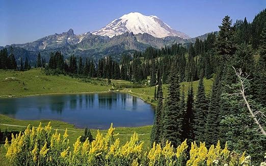 Amazon Co Jp 大人のパズル1000ピース大人のジグソーパズルゲーム 1000カスタマイズ可能な自然の風景の木製の背景のパズルのピース 75 50 Cm は メモリを増やすのに役立ちます Sdi022 ホーム キッチン