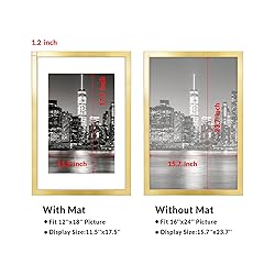 Annecy 16x24 Picture Frame Gold（2 Pack）, 16 x