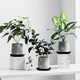 Kunjocy Pack of 5 Black Plant Pot Saucers 30 cm Round Tray Garden Indoor Outdoor view 5