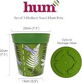 Hum Flowerpots Set of 3 Green Dragonflies 22cm Indoor Outdoor Planters view 2