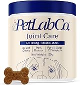PetLab Co. Joint Care Chews – Daily Dog Joint Supplements for Mobility view 1