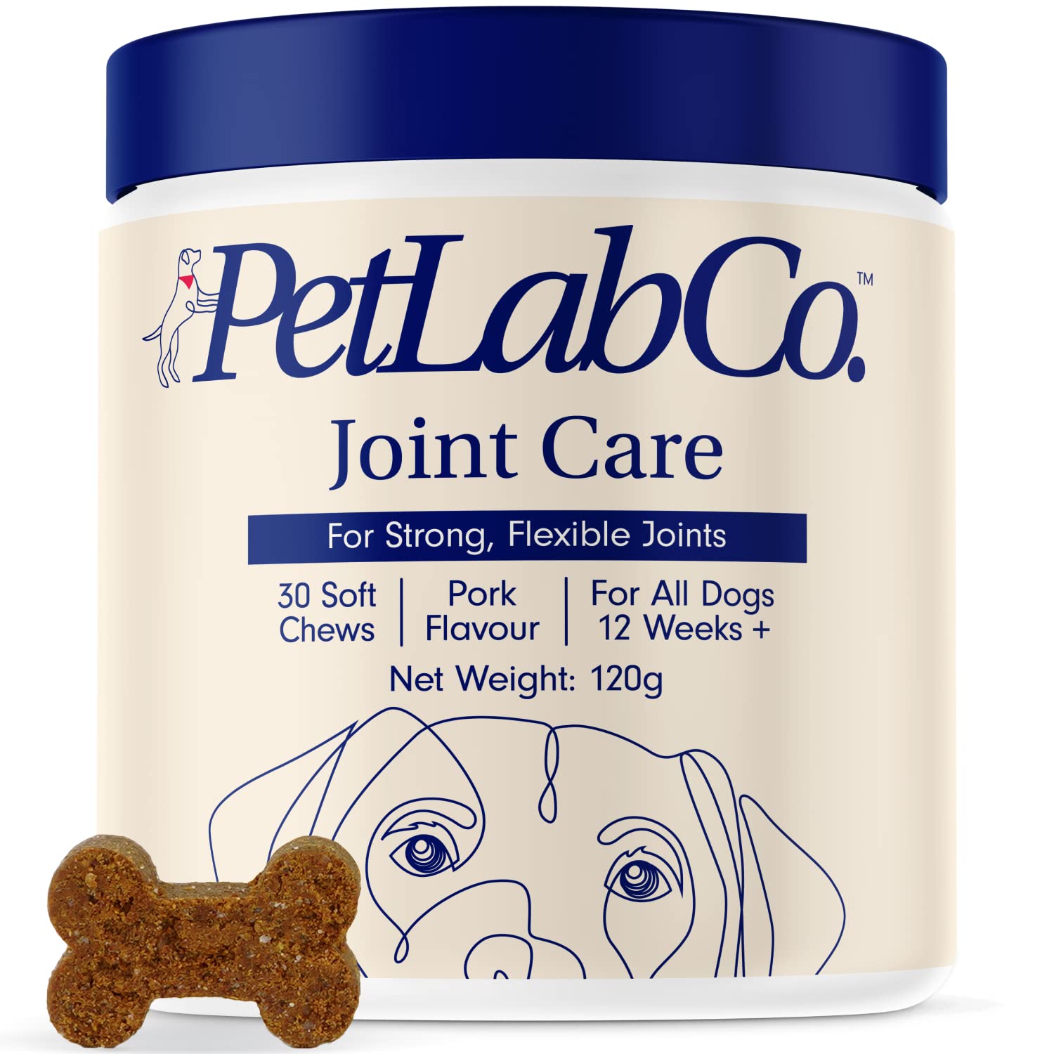 PetLab Co. Joint Care Chews – Daily Joint Supplements For Dogs - Help Promote An Active & Healthy Life - Rich In Glucosamine, Turmeric, Salmon Oil To Support Mobility & Healthy Joints