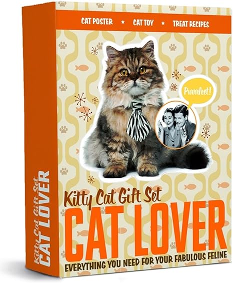 amazon uk gifts for cat lovers