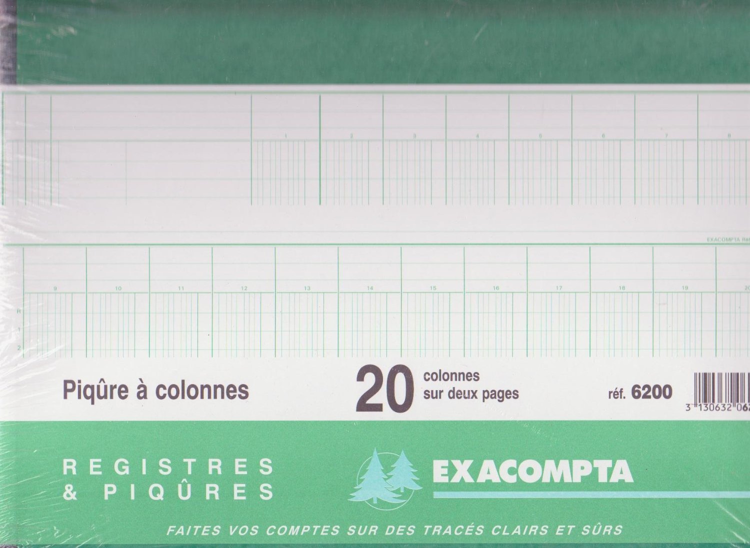Exacompta - Ref 6200E - Horizontal Account Book - 250 x 320mm in Size, 20 Columns on 2 Pages, 24 Pre-Printed Lines, Lightly Dyed 110gsm Paper, 80 Pages, French Text