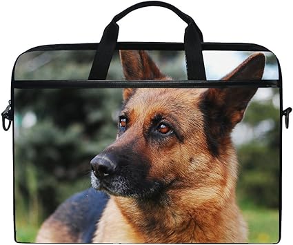 hyena german shepherd mix