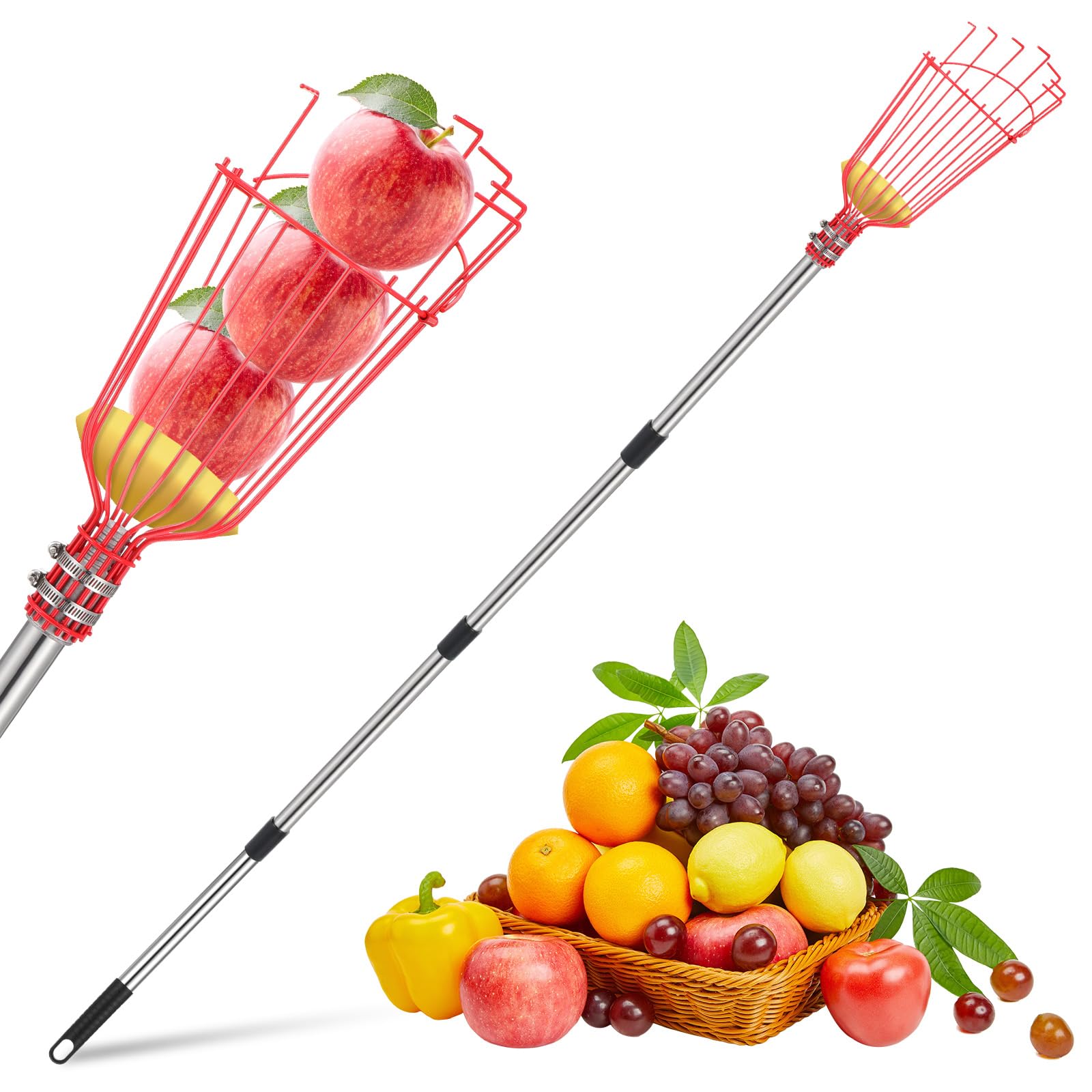 Photo 1 of 13 FT Adjustable Fruit Picker Pole with Basket – Lightweight Stainless Steel Picking Tool for Apples, Mangoes, Avocados, Oranges & More