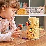 TOP BRIGHT Wooden Magnetic Bird Toy for Toddlers 2 3 4 Years Kid Gift view 2