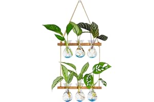 XXXFLOWER Wall Hanging Propagation Station with Wooden Stand 3 Bulb Vase 2 Tiered Planters Wall Terrarium for Home Office Plant Hanger Flower Vases Wall Decor