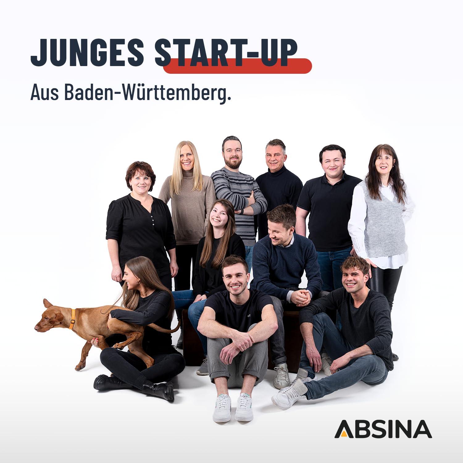 ABSINA 3,8 A Batterieladegerät KFZ für 6V & 12V Blei Batterie bis 120Ah & 12,8V Lithium - Ladegerät Autobatterie - AGM Ladegerät 12V für Auto Motorrad Wohnwagen - Erhaltungsladegerät 8