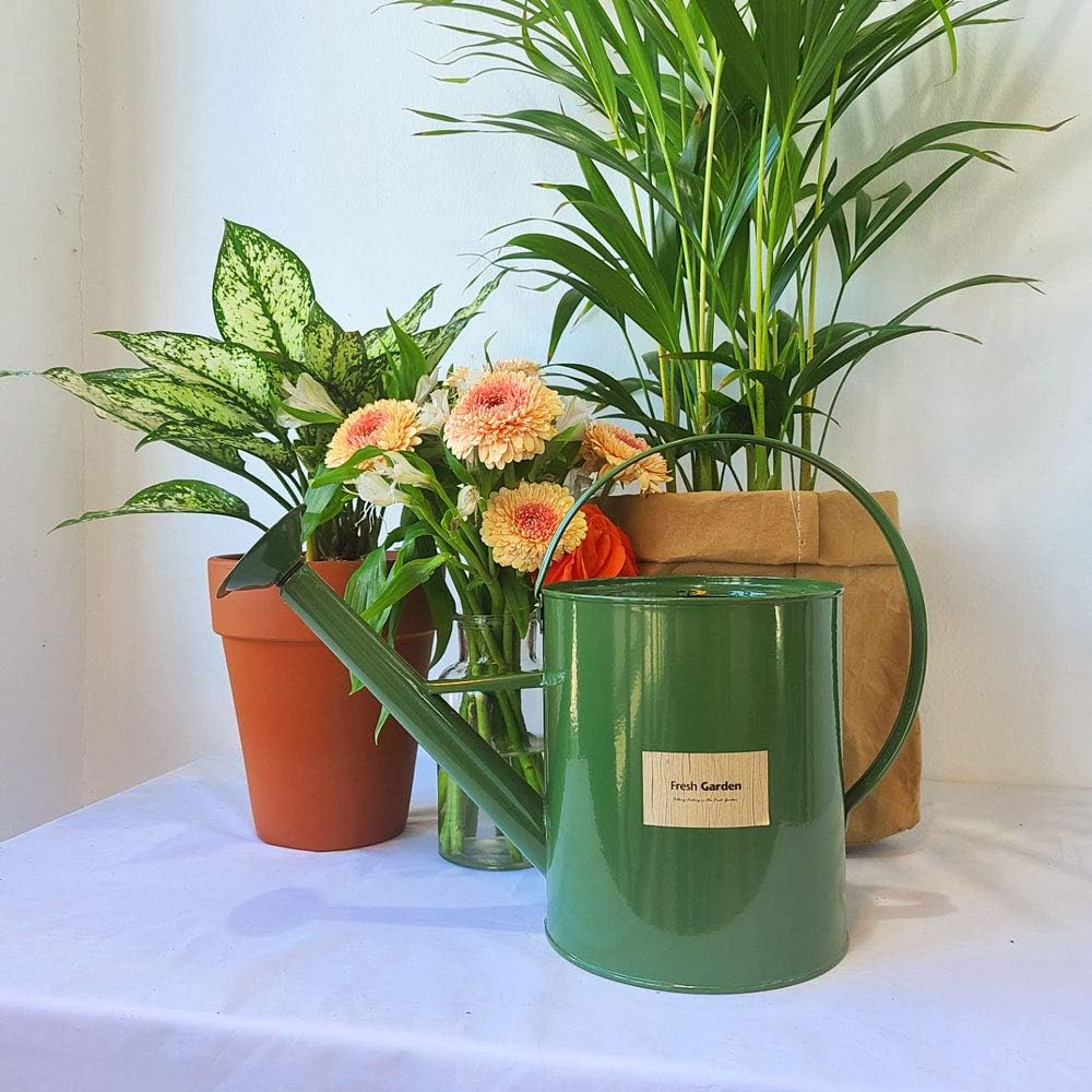 BFA Metal Watering Can with Removable Shower Head, 3.5L (0.92 gal) Retro Design Watering Can for Outdoor Indoor House Garden Plants (Khaki) : Garden & Outdoor