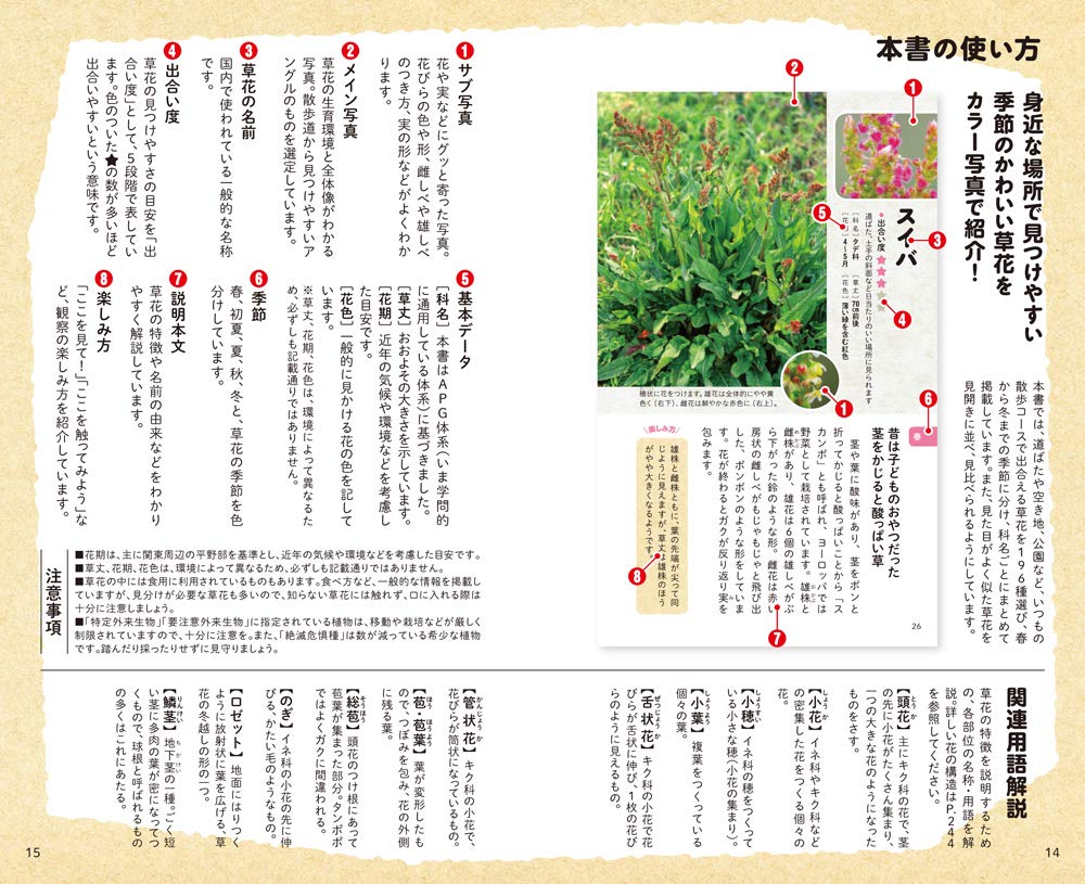 子どもと一緒に見つける 草花さんぽ図鑑 Amazon Com Books
