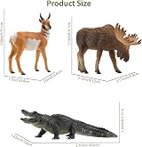 toymany 12PCS North American Forest Animal Figurines Realistic Toy Set view 6