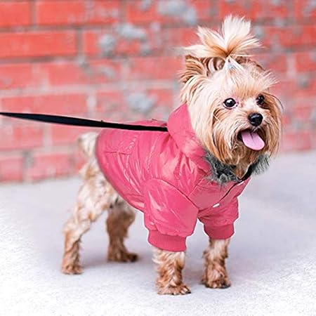 snow coat for dogs