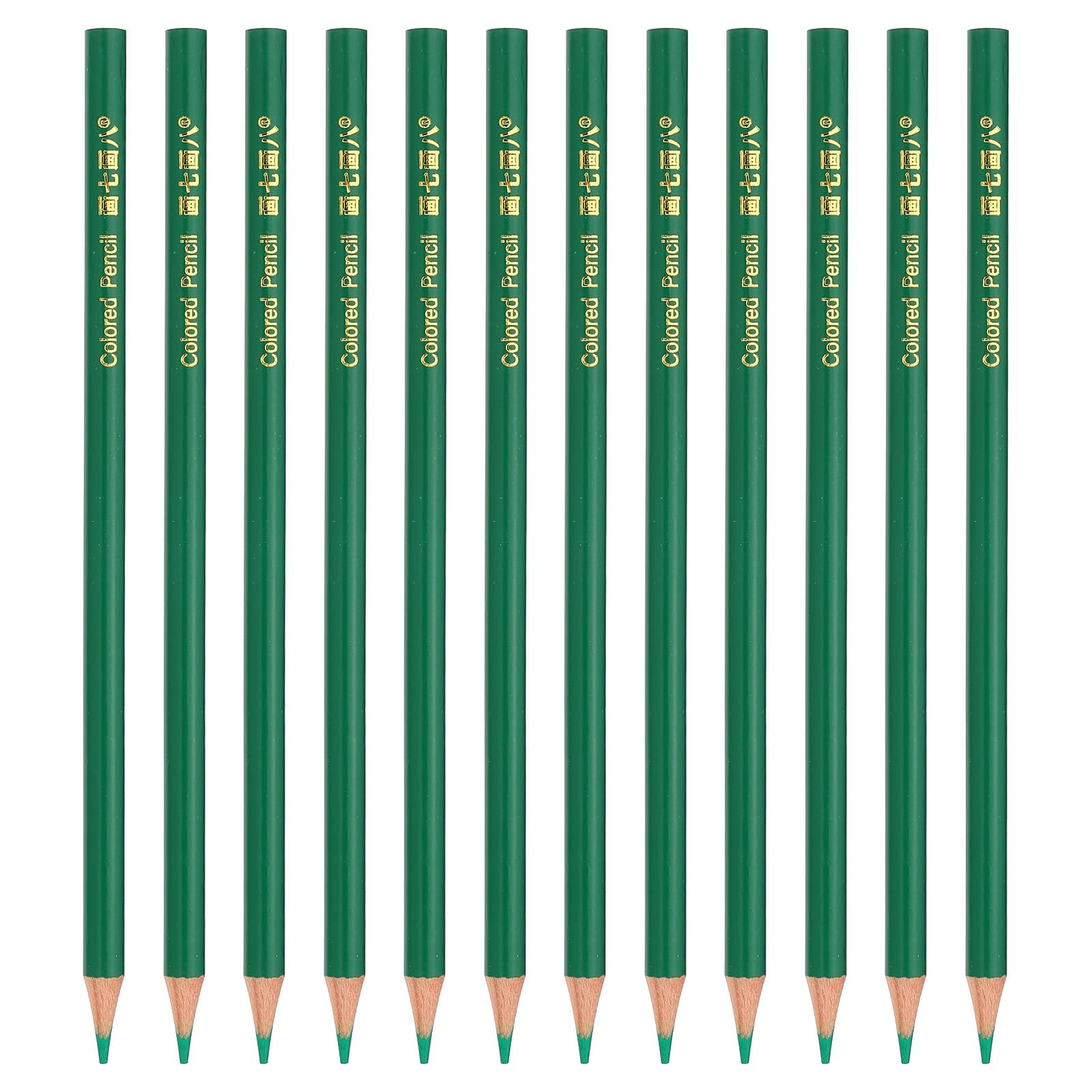 PATIKIL Green Colored Pencils Set,12 Pcs Oil Color Pencils Wooden Coloring Drawing Pencil for Artists Art Painting