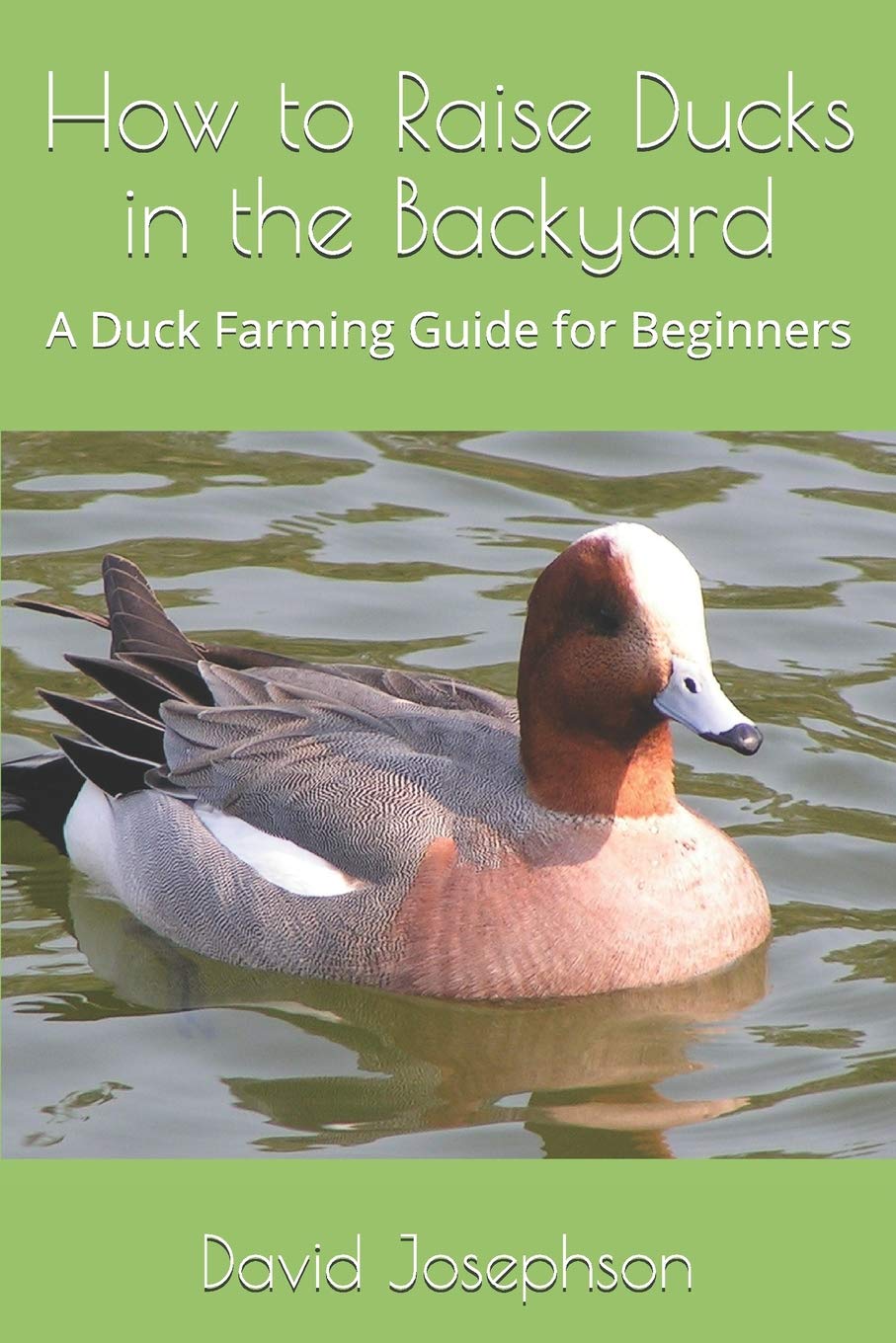 How To Raise Ducks In The Backyard A Duck Farming Guide For Beginners Josephson David 9781719964852 Amazon Com Books