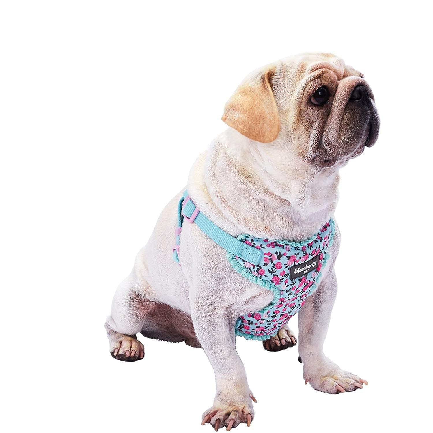 Blueberry Pet Spring Made Well Cute Floral Print Dog Harness Vest in Light Blue, Chest Girth 45cm-53.5cm, Neck 42cm-50.5cm, Small, Adjustable Harnesses for Dogs