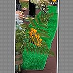 Review Image by Shall