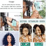 BESTOOL Detangle Hair Brush for Black Natural Hair Curly 3/4abc Texture view 6