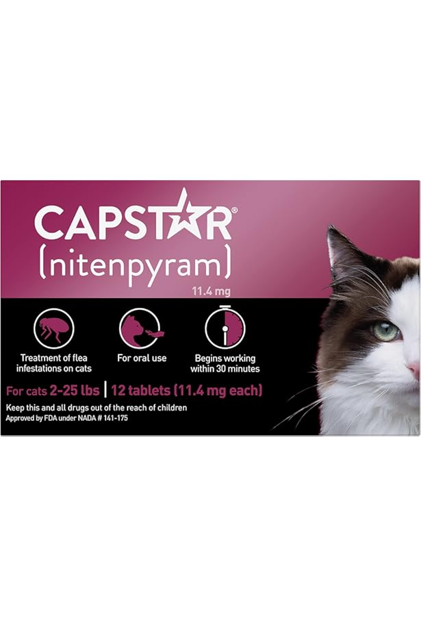 dog proof coffee table