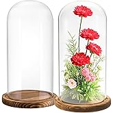 Mezchi 2 Pack Glass Cloche Display Dome, 10 Inch Large Decorative Glass Bell Jar, Clear Dome Showcase with Dark Brown Wooden Base, for Plants, Medals, Photos, Antique Collectibles, Mother's Day