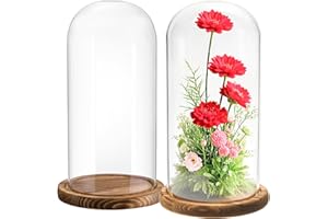 Mezchi 2 Pack Glass Cloche Display Dome, 9.8x4.7 inch Decorative Glass Bell Jar, Clear Glass Dome Showcase with Dark Brown Wo