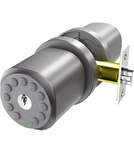 Bouton De Porte En Nickel Avec Clavier électronique - Bouton De Porte D