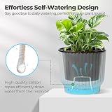 T4U Mini Self Watering Plant Pots 6 Pack 10cm White Plastic Indoor Planters view 3