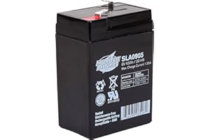 Interstate Batteries 6V 4.5Ah Battery (F1 Terminal) SLA AGM VRLA Rechargeable Replacement for Blood Pressure Monitors, Oxygen