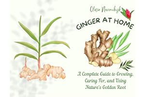 Ginger at Home : A Complete Guide to Growing, Caring For, and Using Nature’s Golden Root