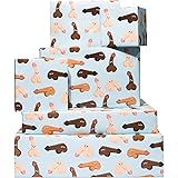 CENTRAL 23 Bridal Shower Funny Wrapping Paper for Women Men Gay - 6 Sheets of Rude Gift Wrap for Friends - Anniversary Wrappi